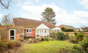 Photo 8- click for photo gallery